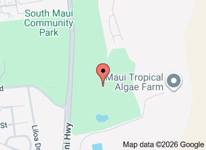  Elleair Maui Golf Club in Kihei HI 96753 hawaii golf courses  Golf Course Image