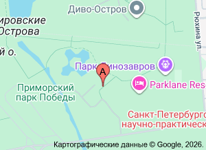 Самый большой фонтан в городе почти построили. Как это у нас принято, с нарушением закона (видео)