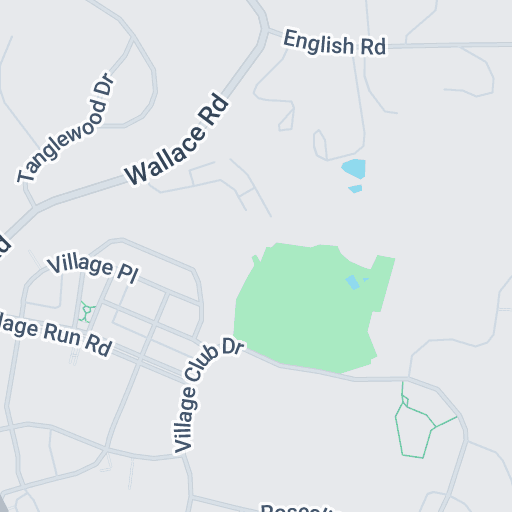 Rothrock S Kung Fu Tai Chi Tribune Review