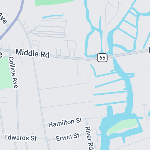 Civil Service Success The Chief Leader