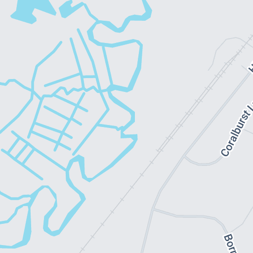 Love Salon The Forecaster